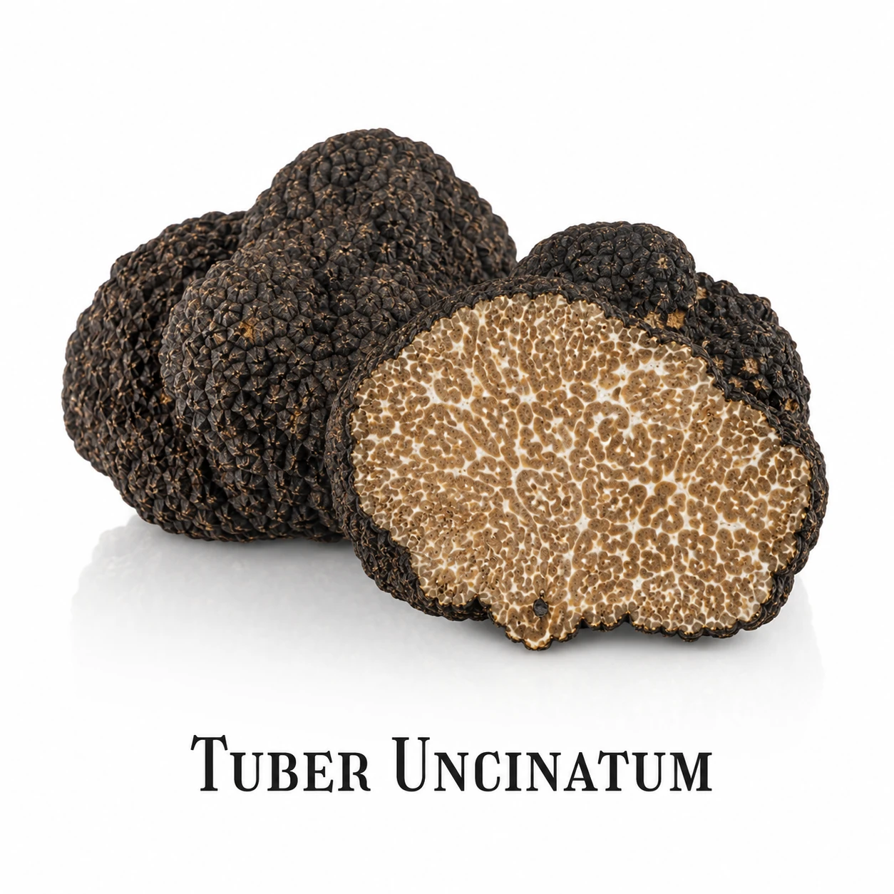 Осенний трюфель Tuber Uncinatum Осенний трюфель Tuber Uncinatum